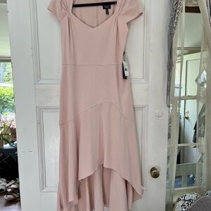 Elegant Pink Dress